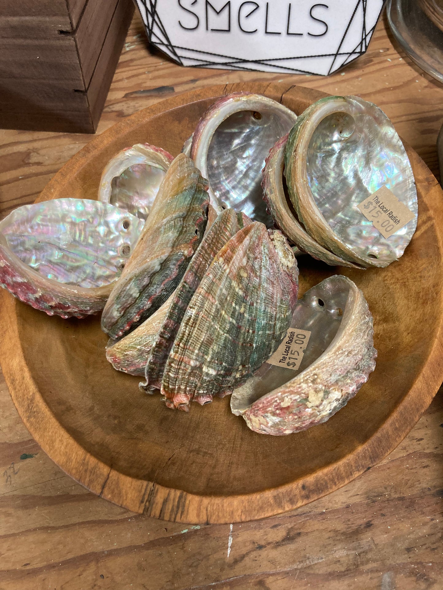 Abalone Shell