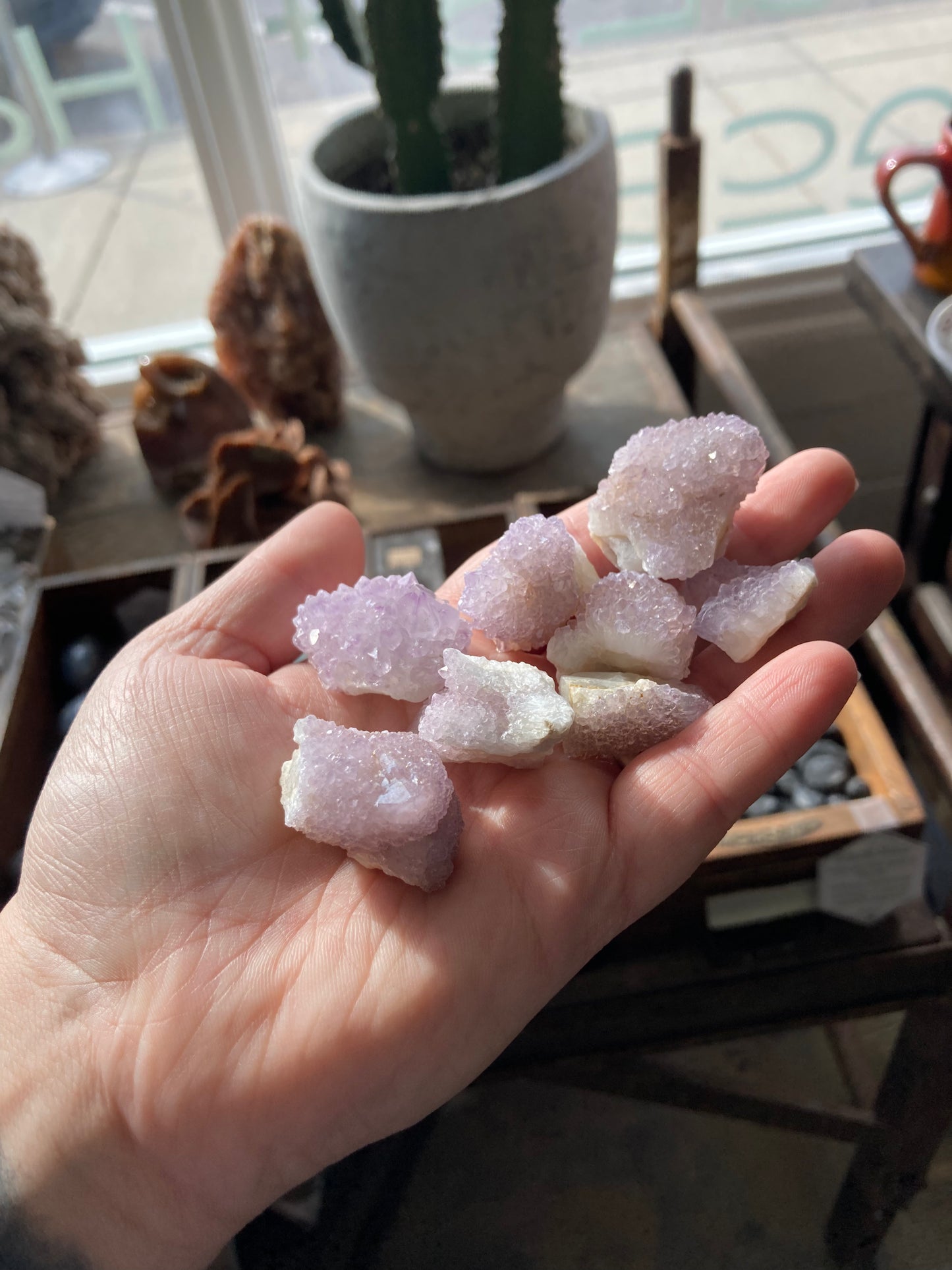 Spirit Cactus Chunk