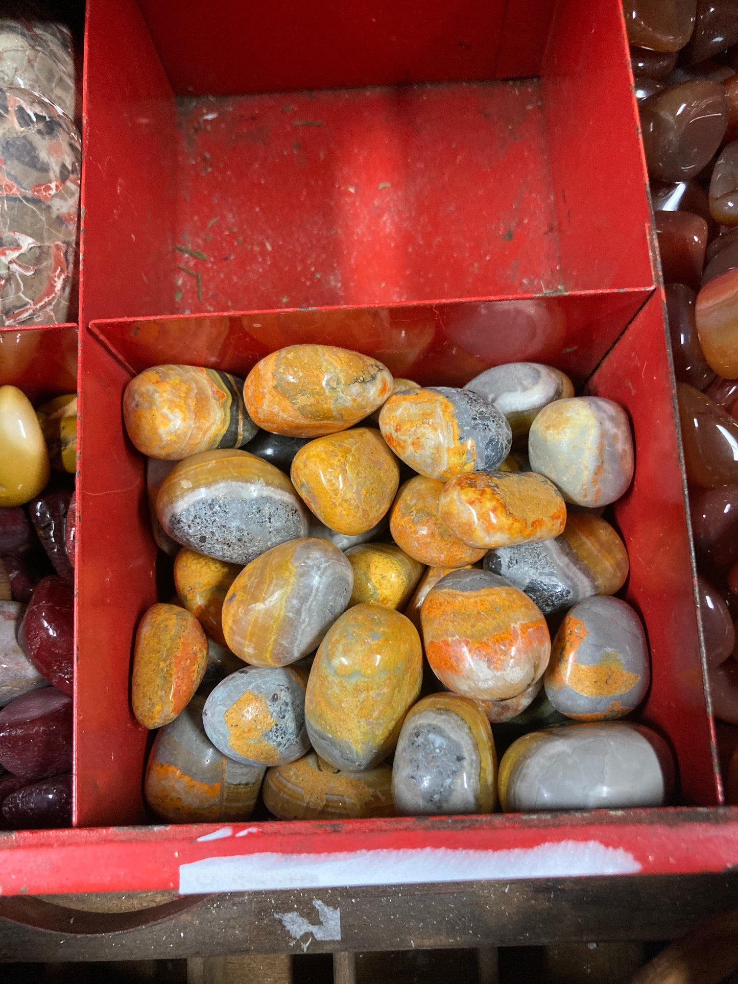 Bumblebee Jasper Tumbles