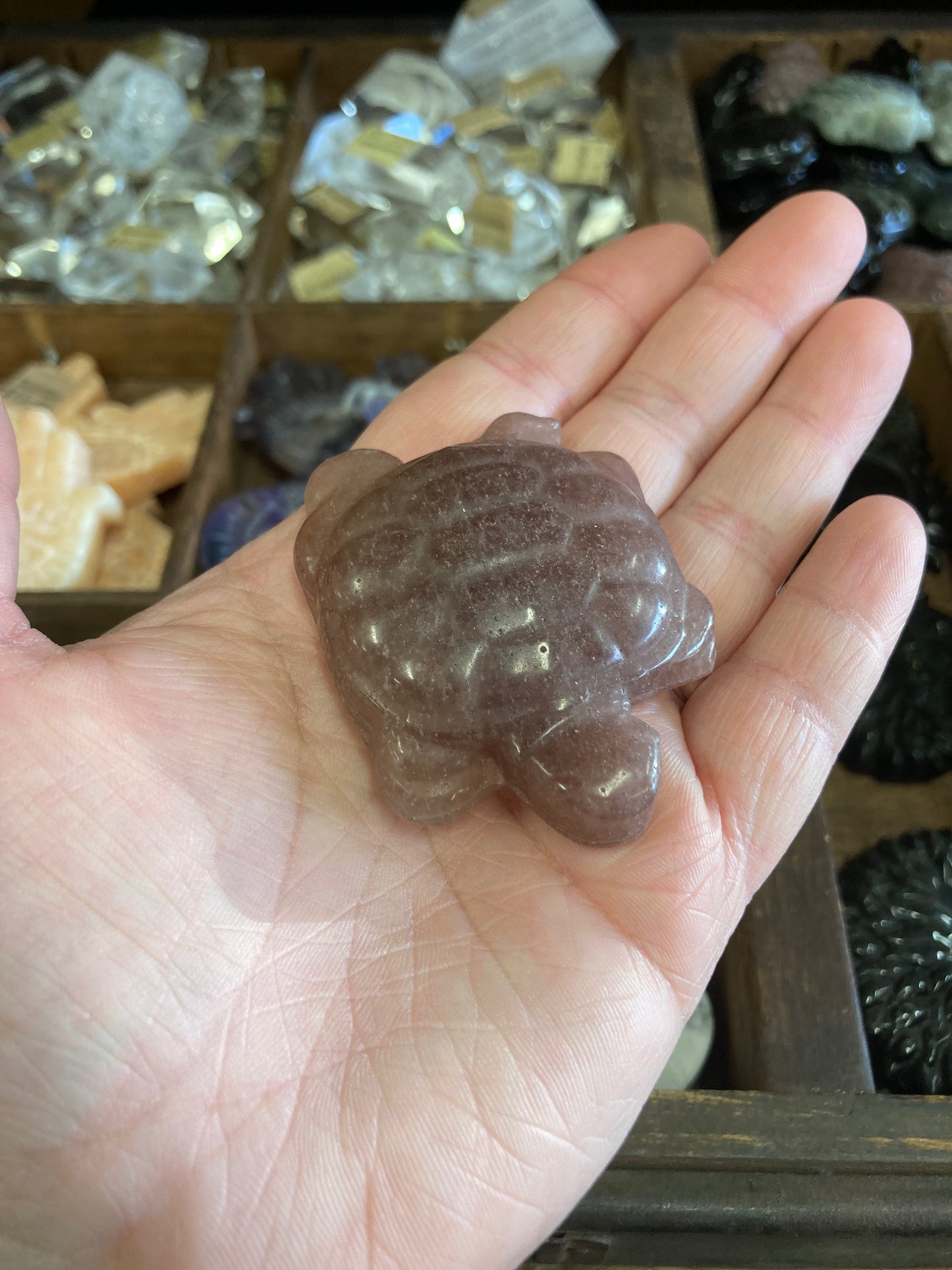 Crystal Turtle