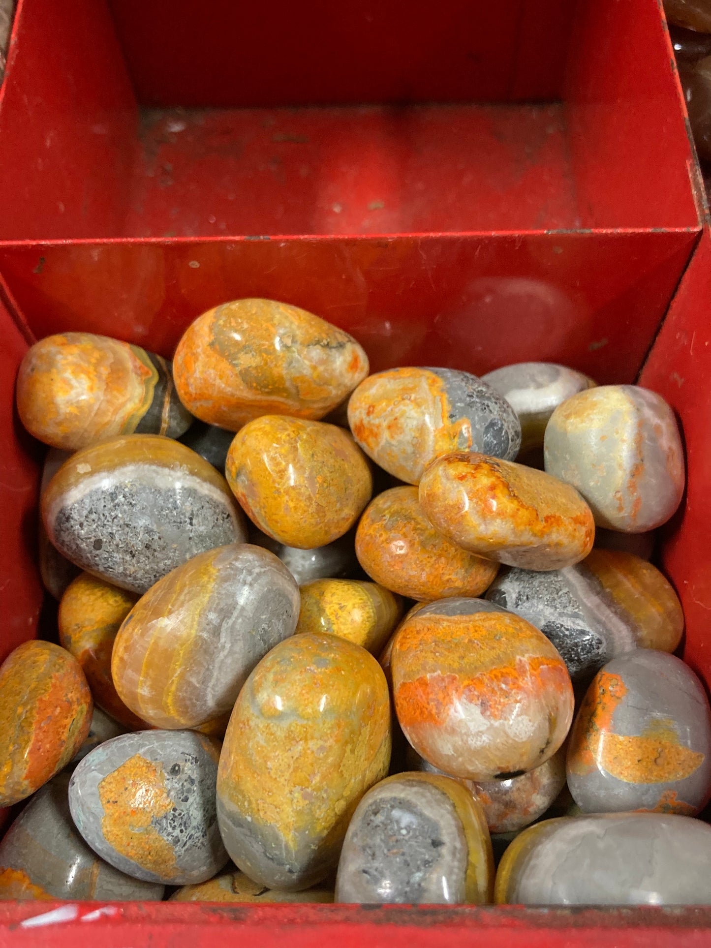 Bumblebee Jasper Tumbles