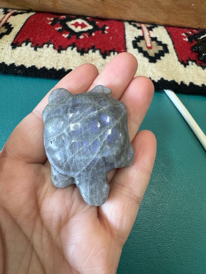 Crystal Turtle