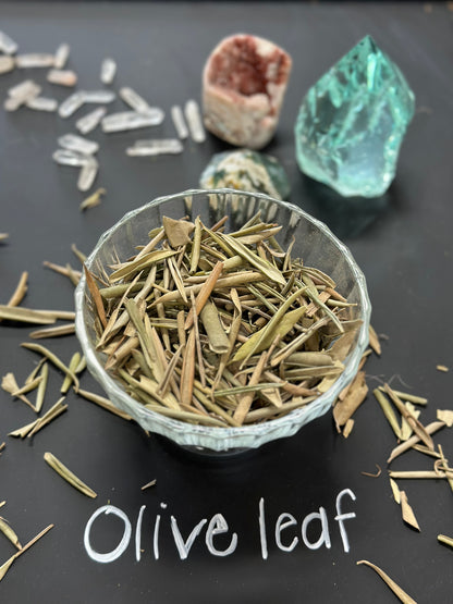 Olive Leaf 1oz