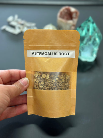 Astragalus Root 1 oz