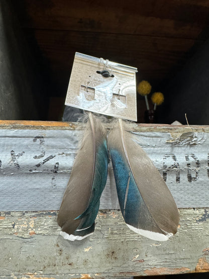 Feather Earrings