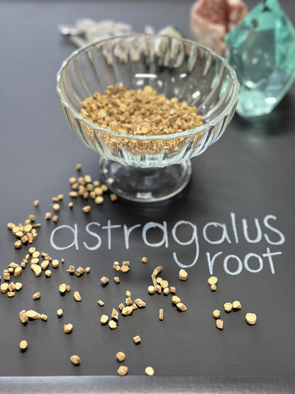 Astragalus Root 1 oz