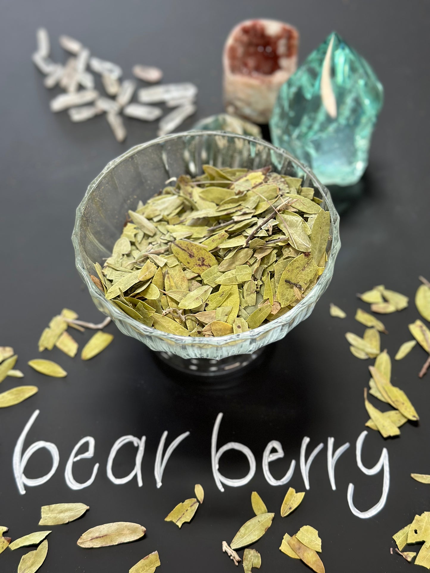 Bear Berry (Uva Ursi) 1oz