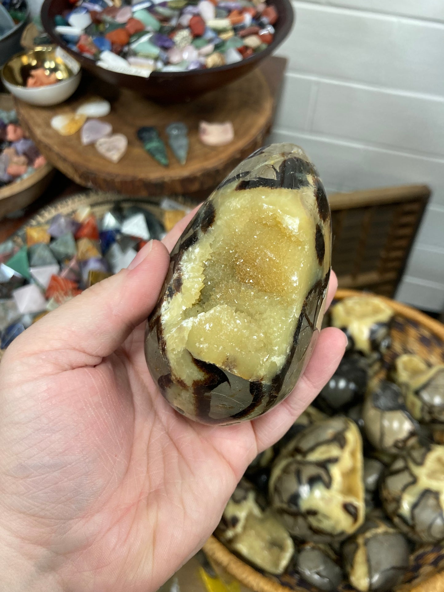 Septarian Nodule Egg