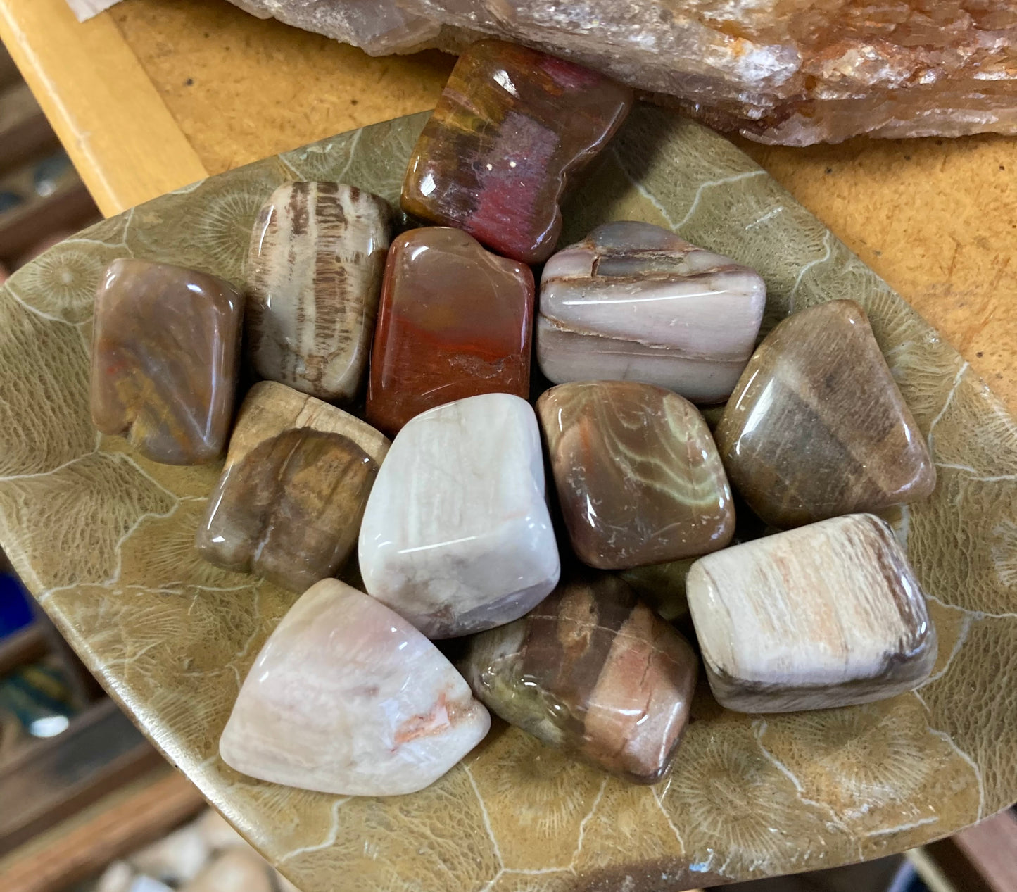 Petrified Wood Tumbles