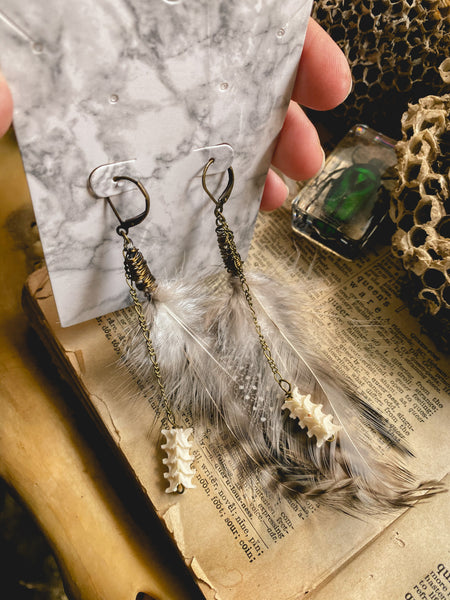 Feather & Rattlesnake Vertebrae Brass earrings