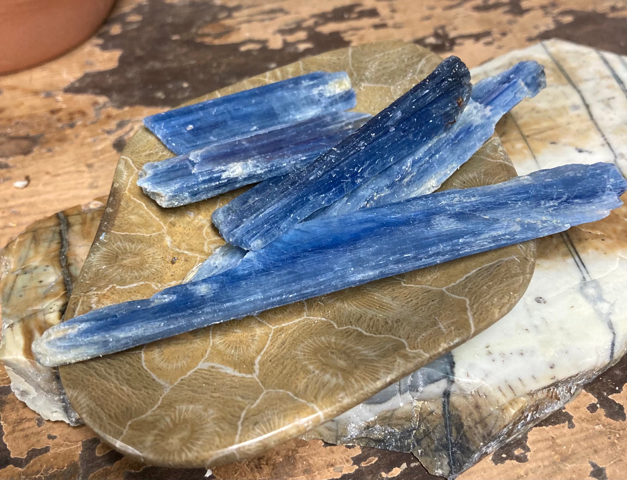 Polished Blue Kyanite Blades
