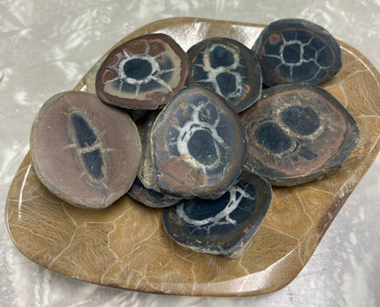 Septarian Nodule