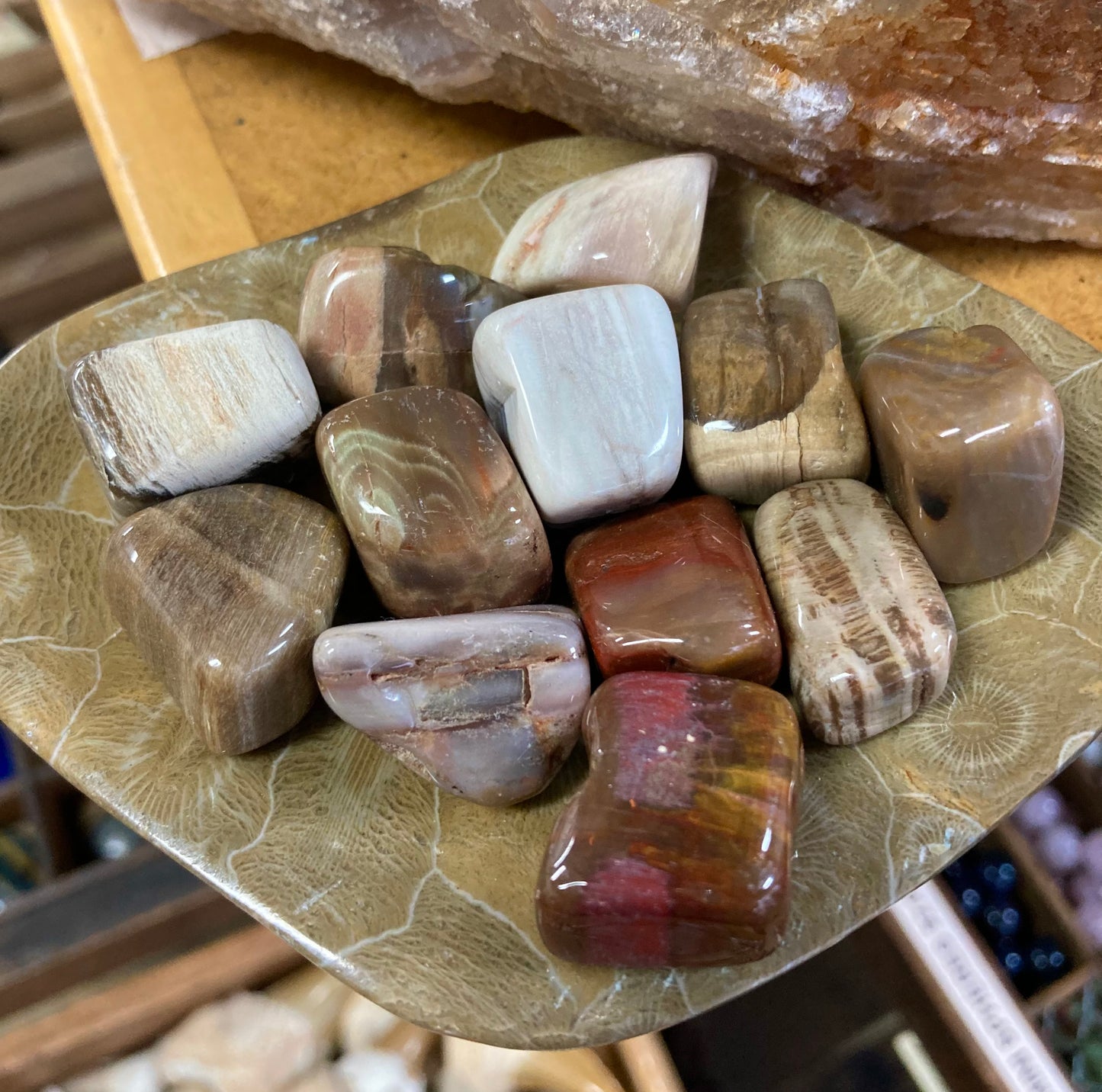 Petrified Wood Tumbles