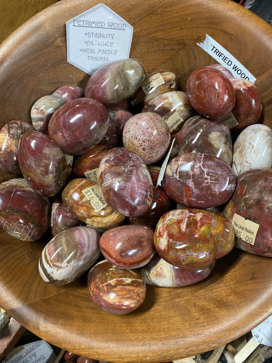 Petrified Wood Palmstone