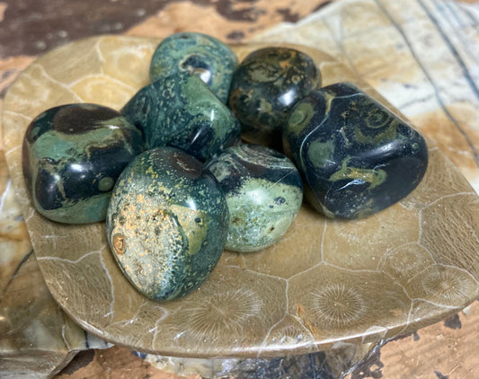 Kambaba Jasper Tumbles