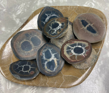 Septarian Nodule