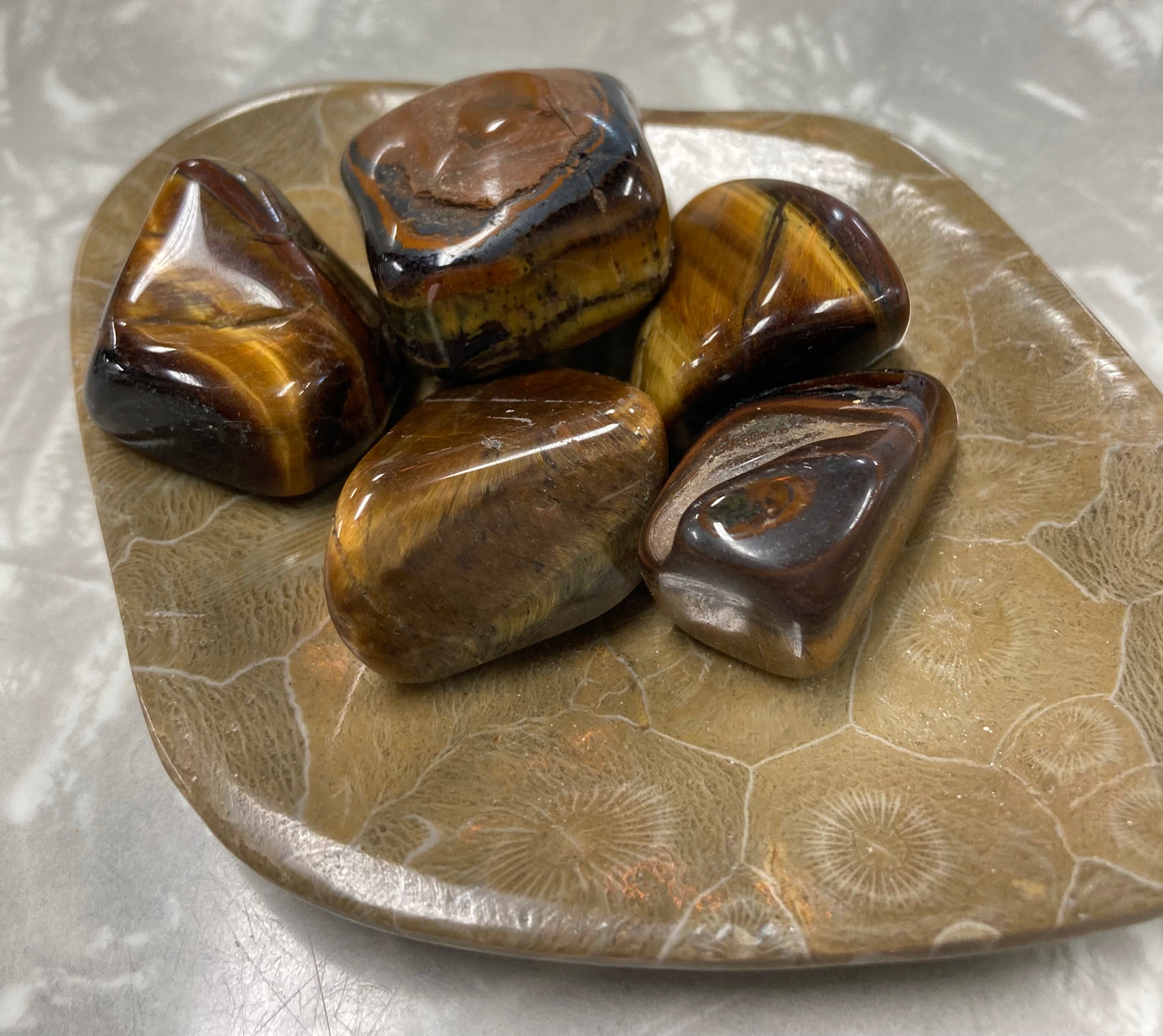 Tigers Eye Tumbles