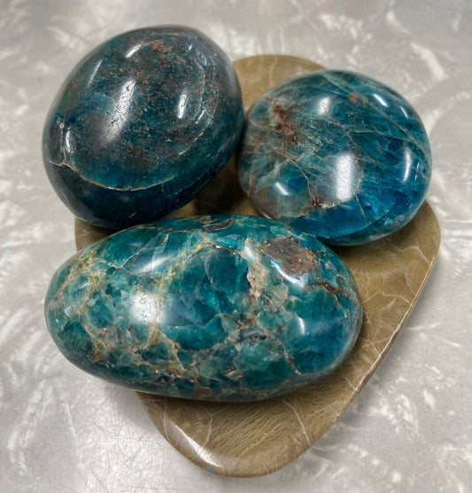 Blue Apatite Palmstones