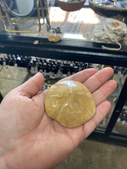 Fossilized Sand Dollar Palmstone