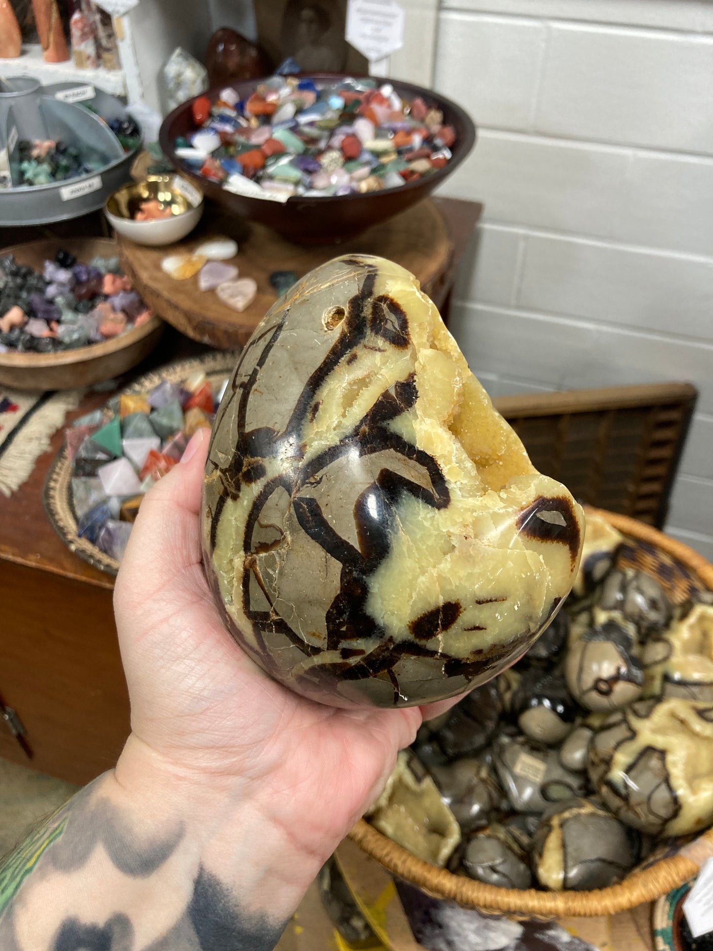 Septarian Nodule Egg