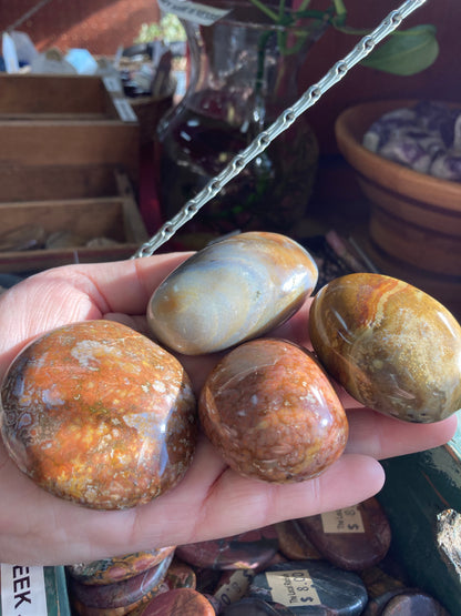 Ocean Jasper Palmstone