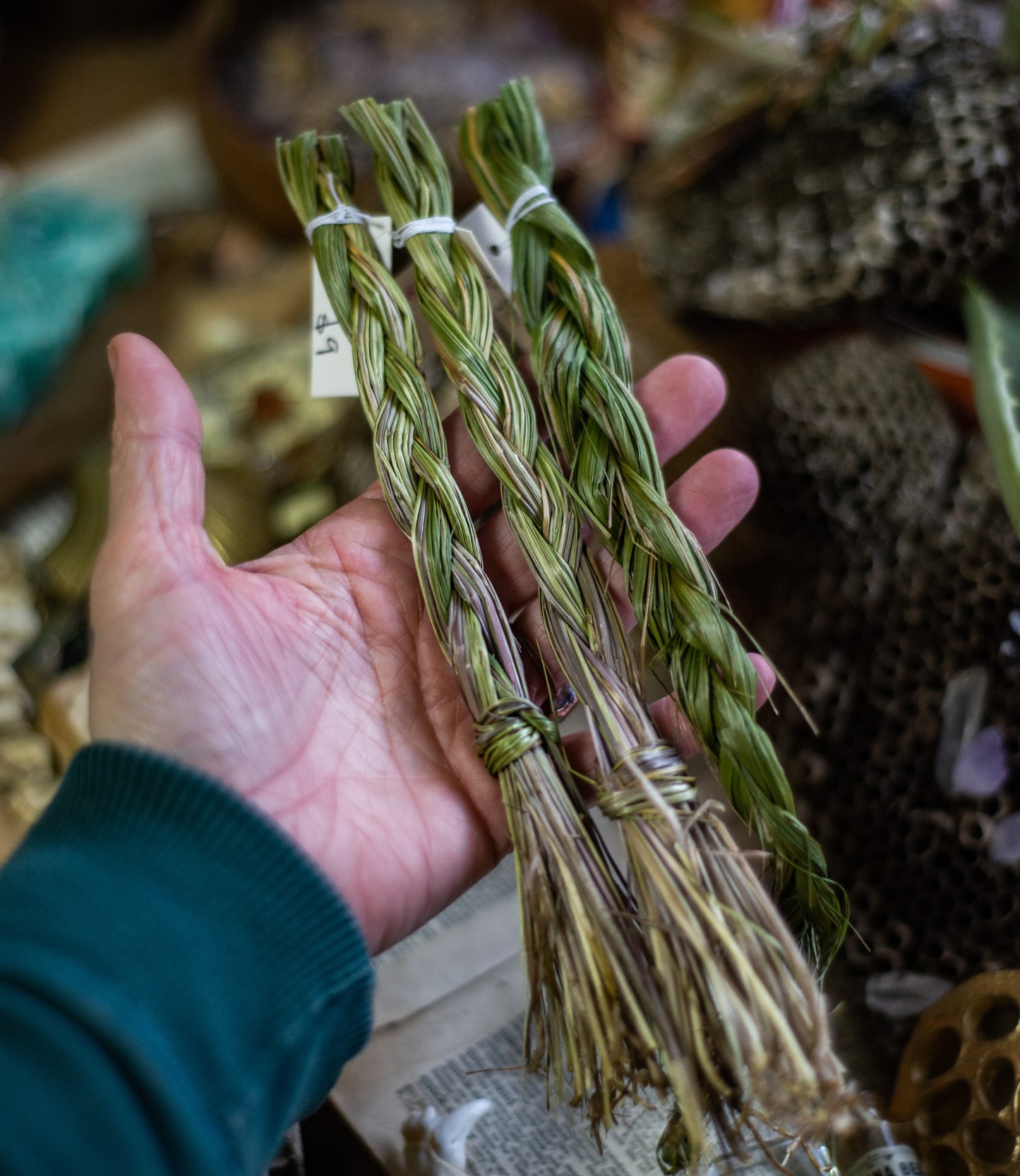 Braid of sweet grass