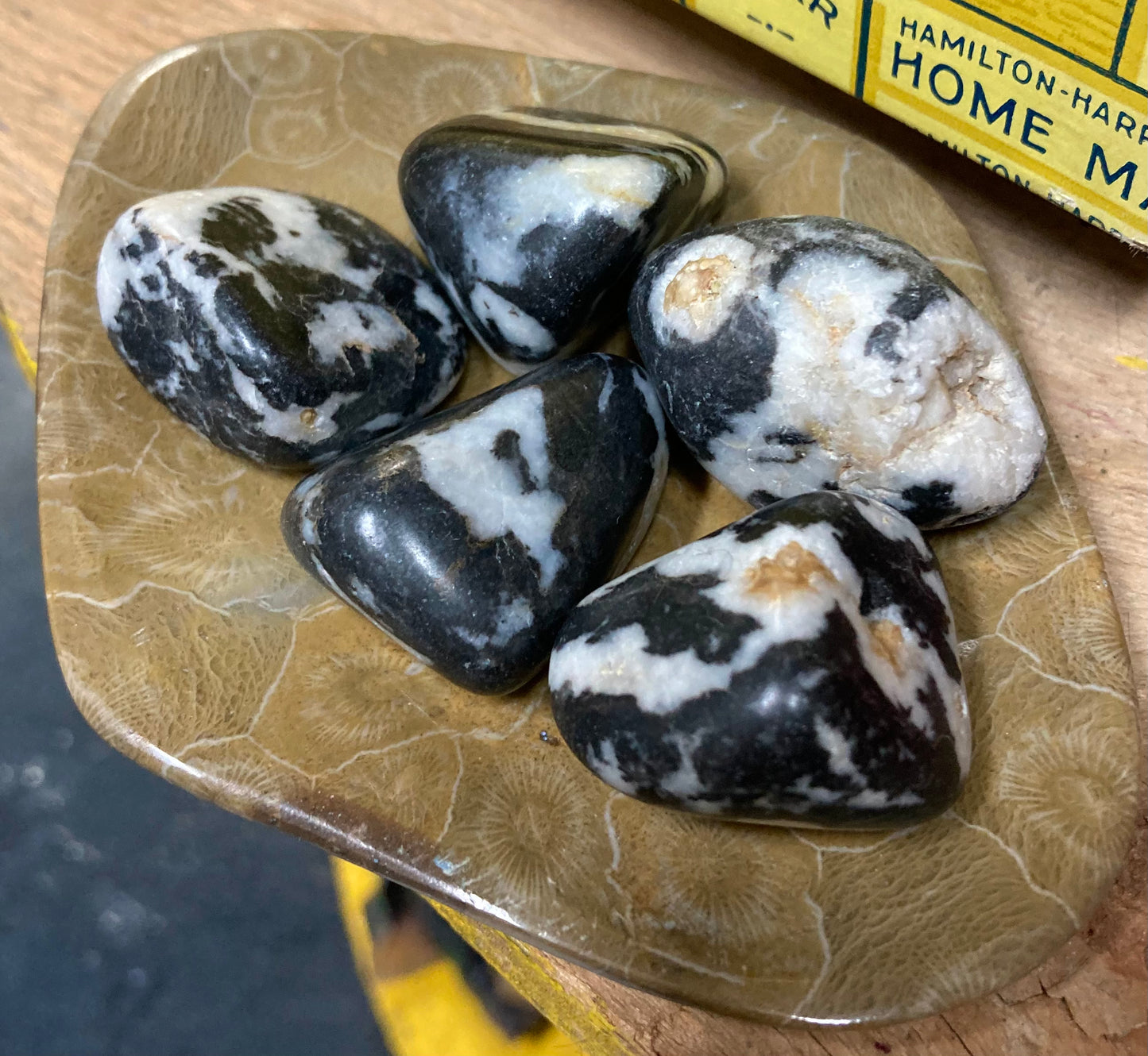 Zebra Jasper