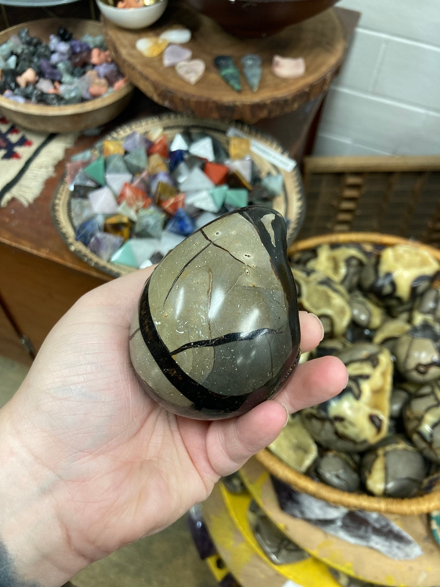 Septarian Nodule Egg