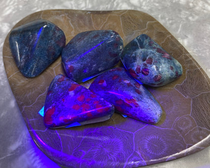 Ruby In Kyanite