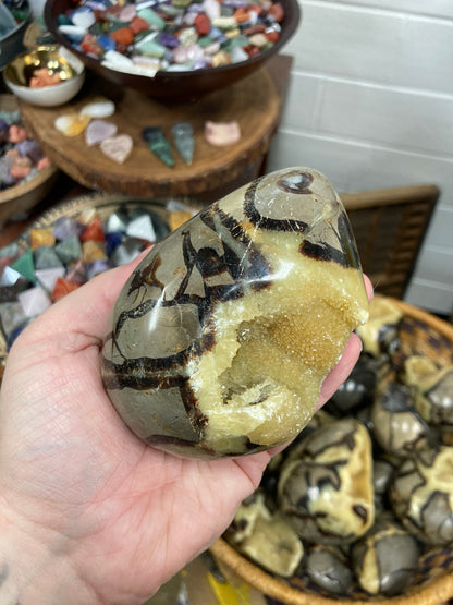 Septarian Nodule Egg