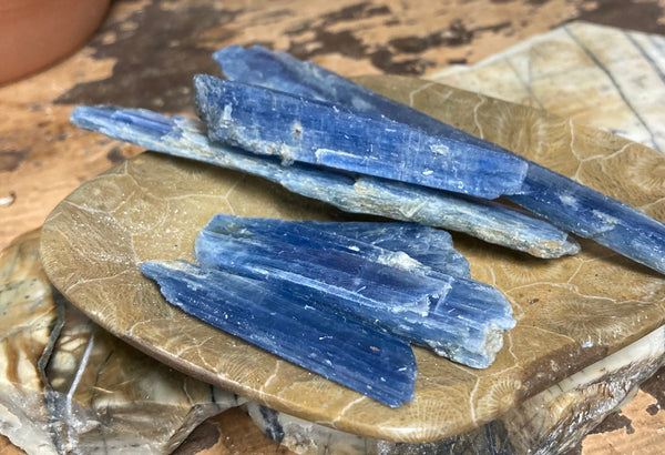 Polished Blue Kyanite Blades
