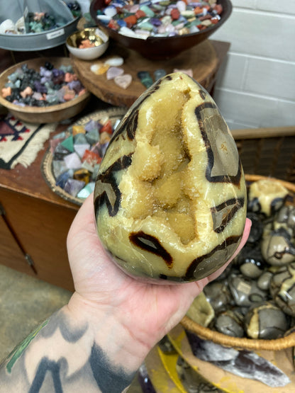 Septarian Nodule Egg